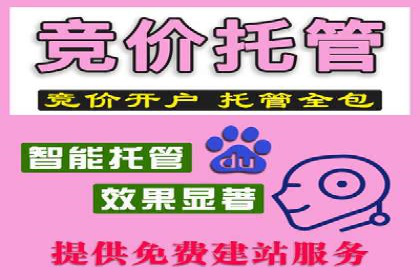 竞价SEM案例分享：行业霸主崛起之路